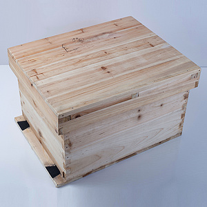 “双王“蜂巢箱设计