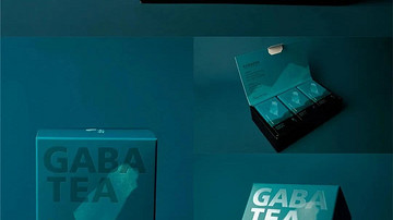 中华设计奖优秀作品分享 第133期