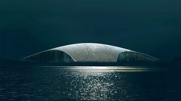 挪威观鲸文化中心竞赛，“一条鲸”胜出