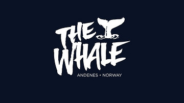 一头金发的她，用一头“鲸鱼”击败了BIG、Snøhetta等网红事务所！网友：赢得漂亮！