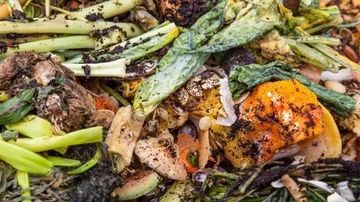 日本小学生用“烂蔬菜”造纸！拯救了日本“缺纸危机”！网友：这纸真的“辣眼睛”！